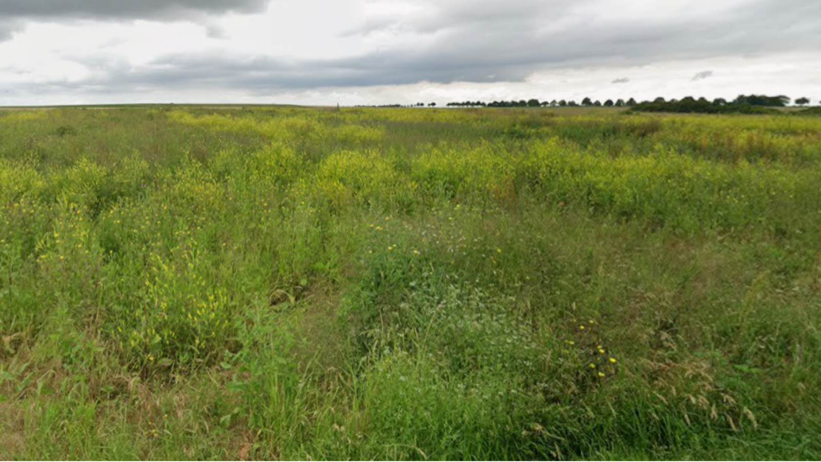 Terrain constructible de 658m2 à Tavers