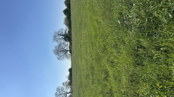 Lot 5 chemillé en anjou.jpg