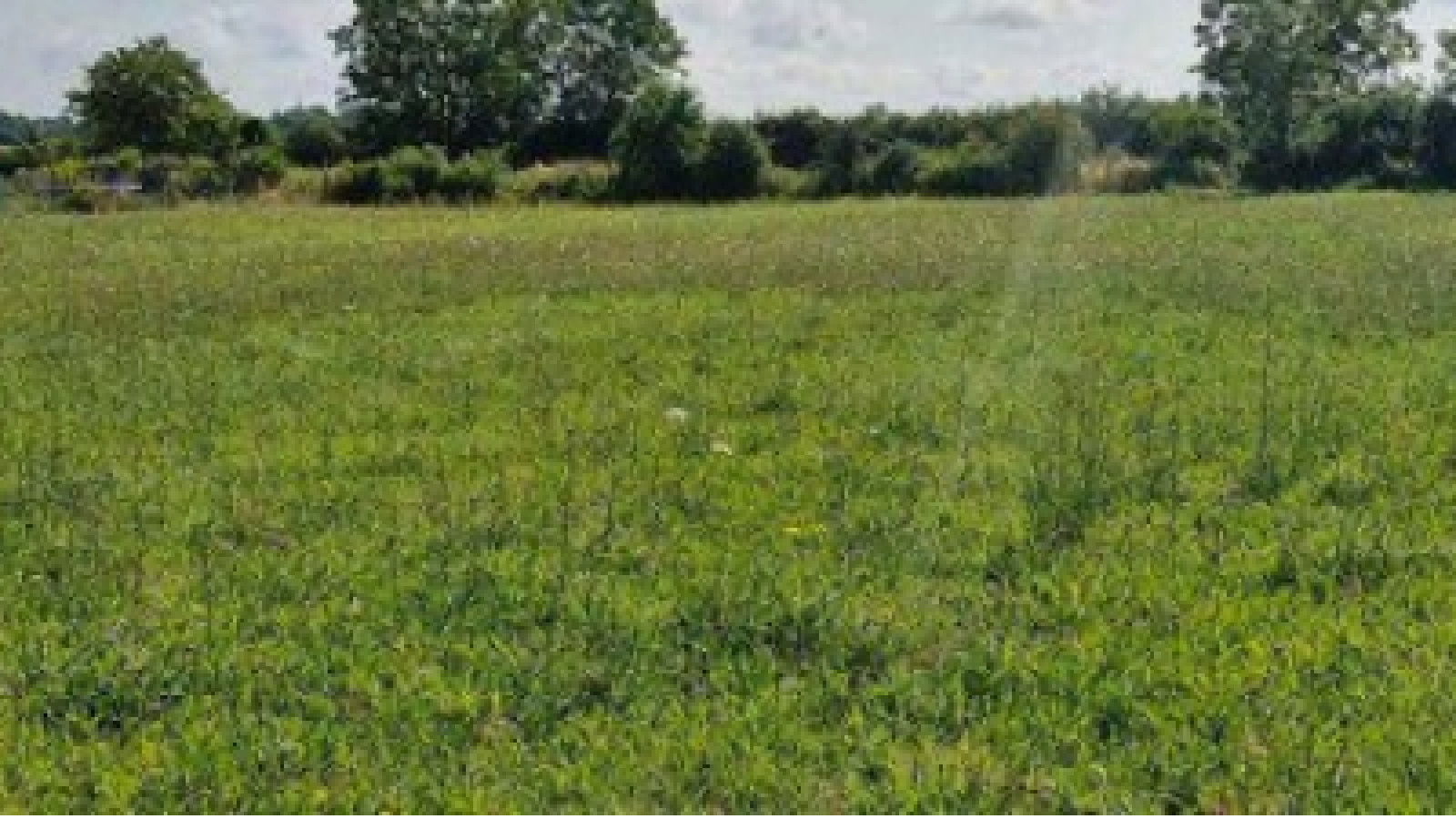 Terrain constructible de 1750m2 à Chambray-lès-Tours