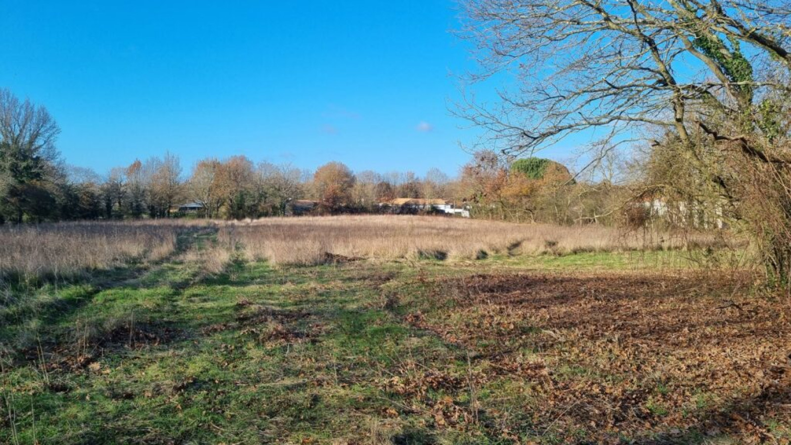 Terrain constructible de 519m2 à Montournais