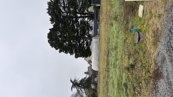 lot3-murs-éri.jpeg