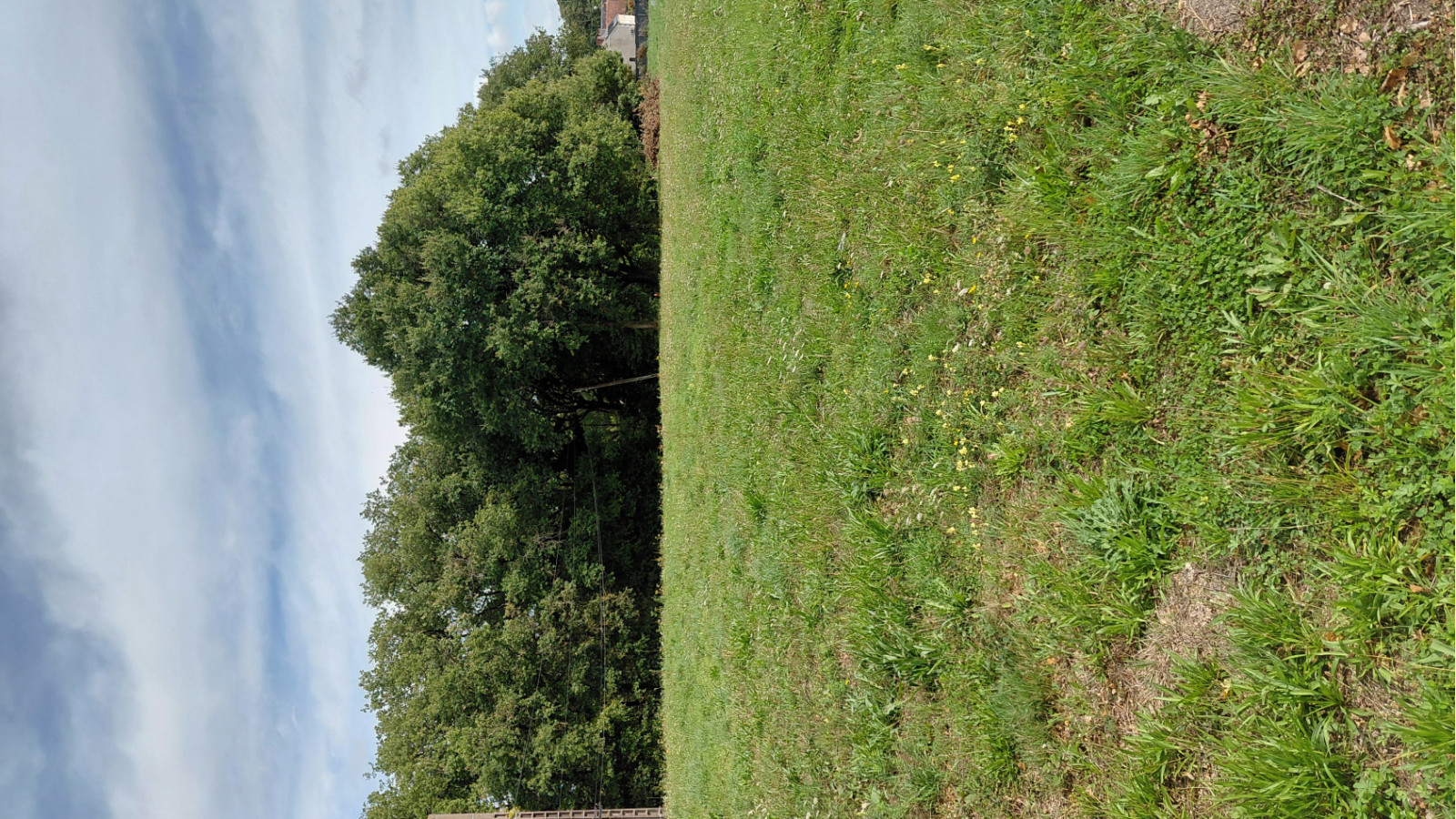 Terrain constructible de 408m2 à Lignières-de-Touraine