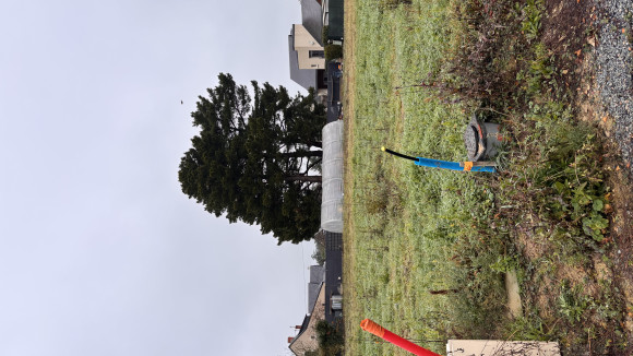 lot2-murs-éri.jpeg