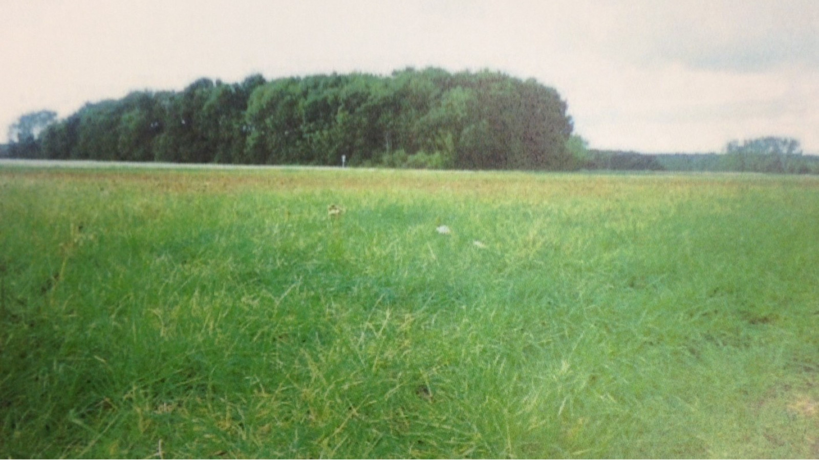 Terrain constructible de 481m2 à Montlouis-sur-Loire
