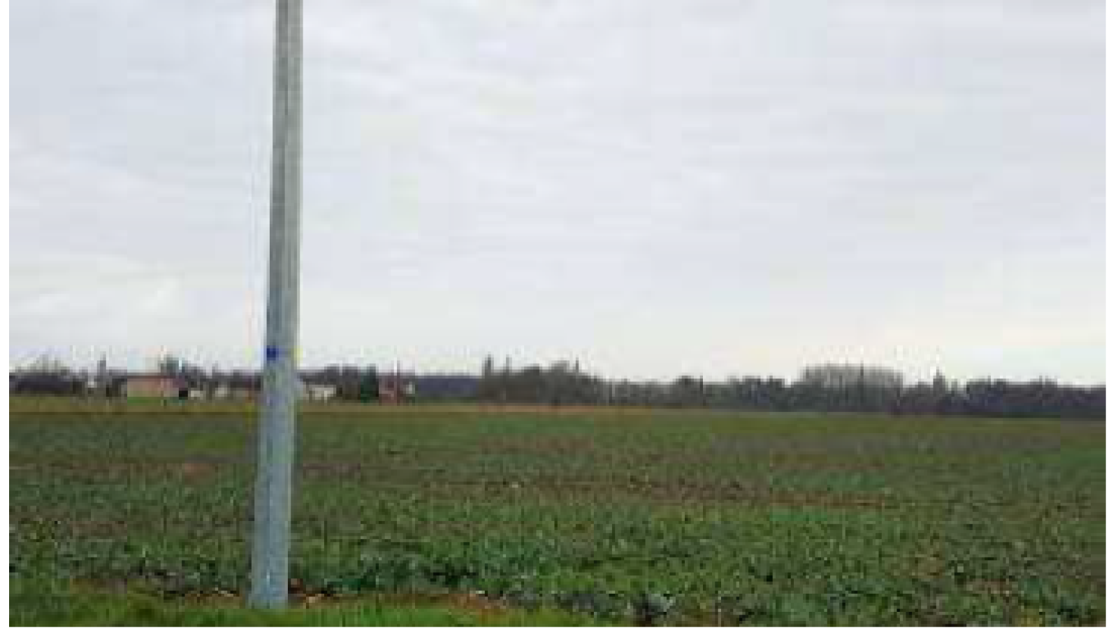 Terrain constructible de 1056m2 à Germigny-des-Prés