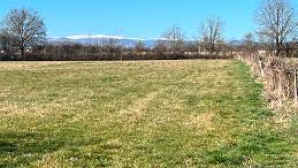 terrain 45.jpg