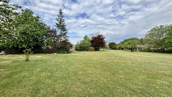 88c7c82e-0382-4813-abb1-2862fc7a3e4e.jpg