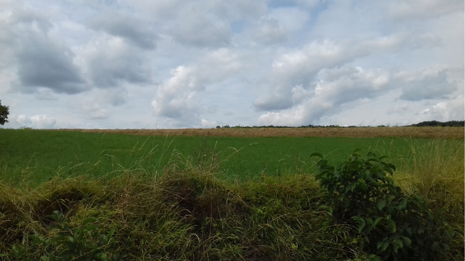 Terrain constructible de 4680m2 à Oyré