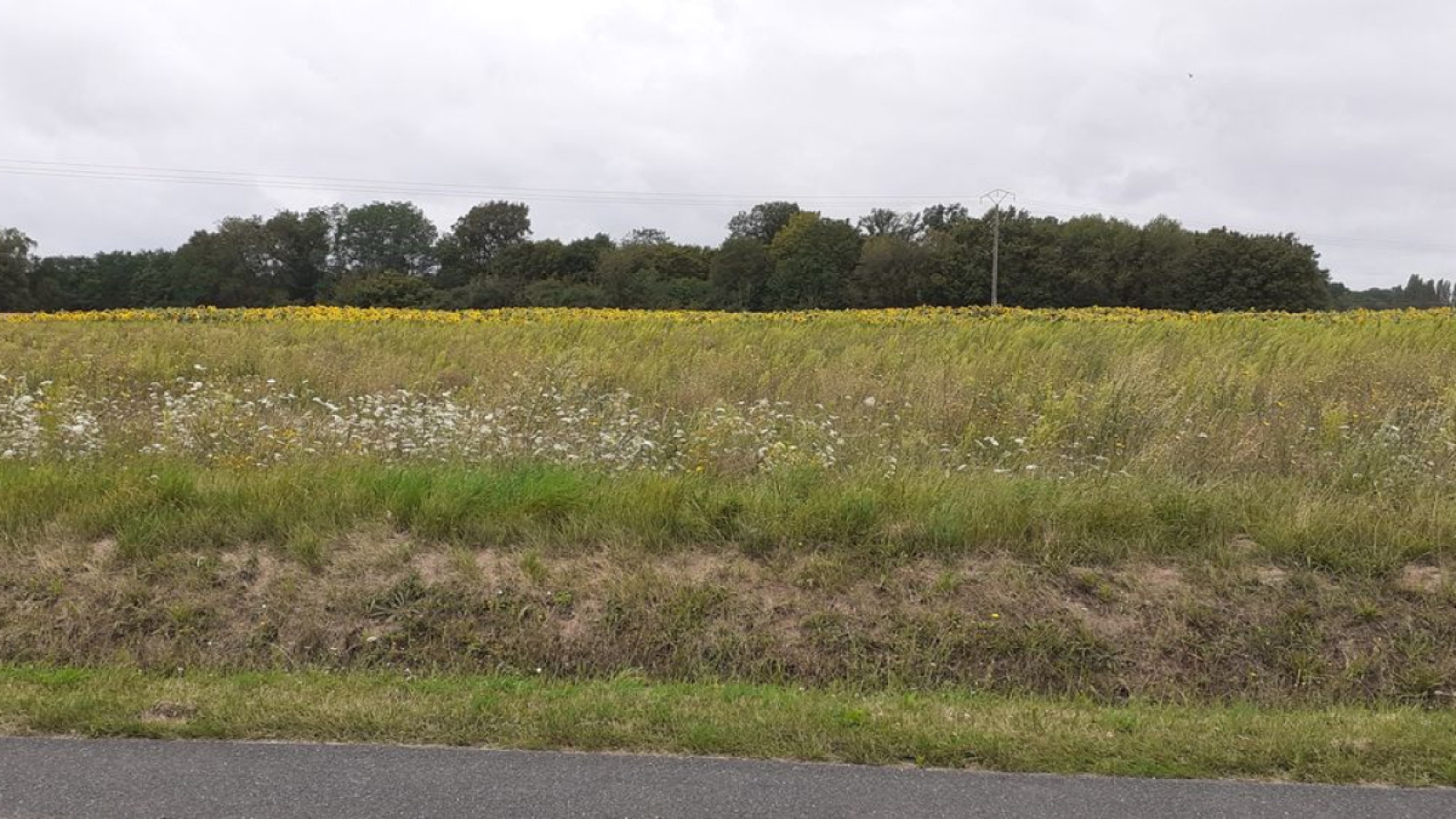 Terrain constructible de 1104m2 à Nogent-sur-Vernisson