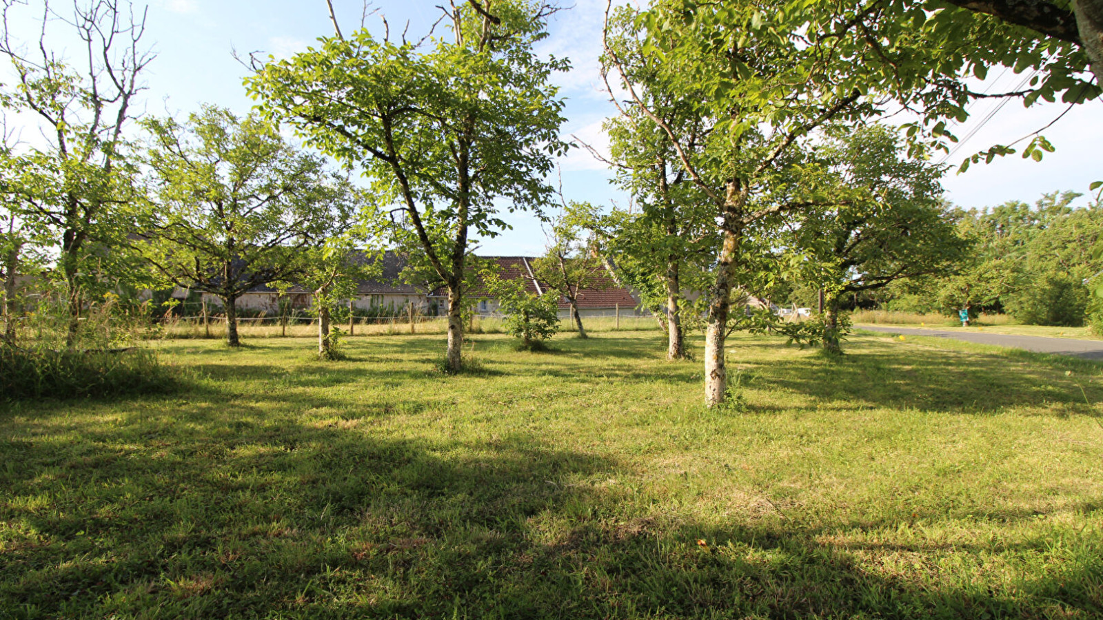 Terrain constructible de 491m2 à Mont-près-Chambord