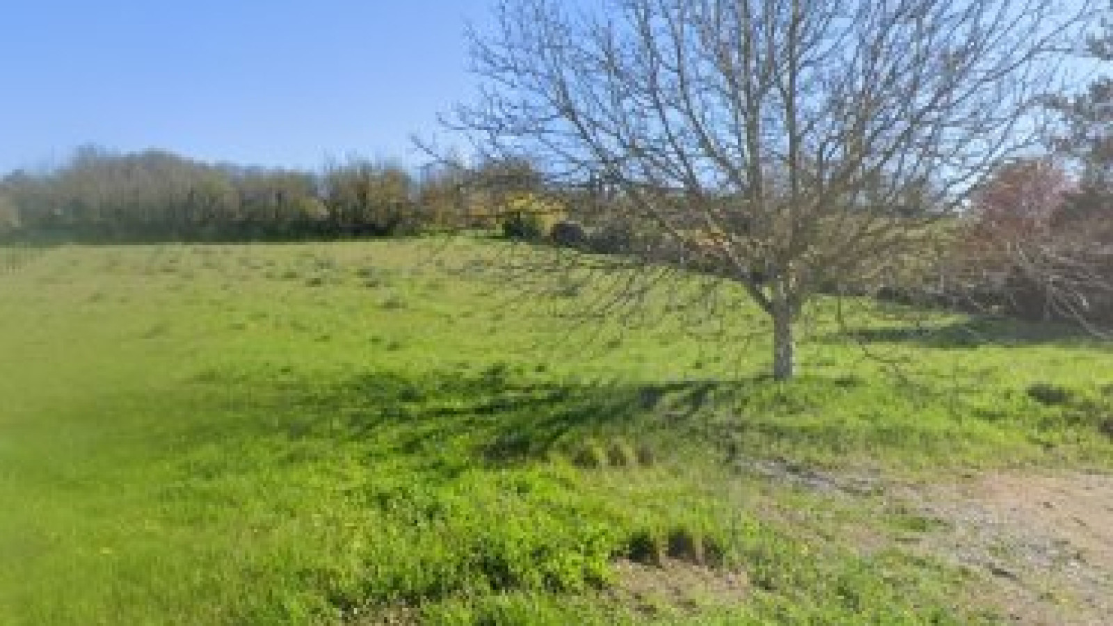 Terrain constructible de 605m2 à Naintré