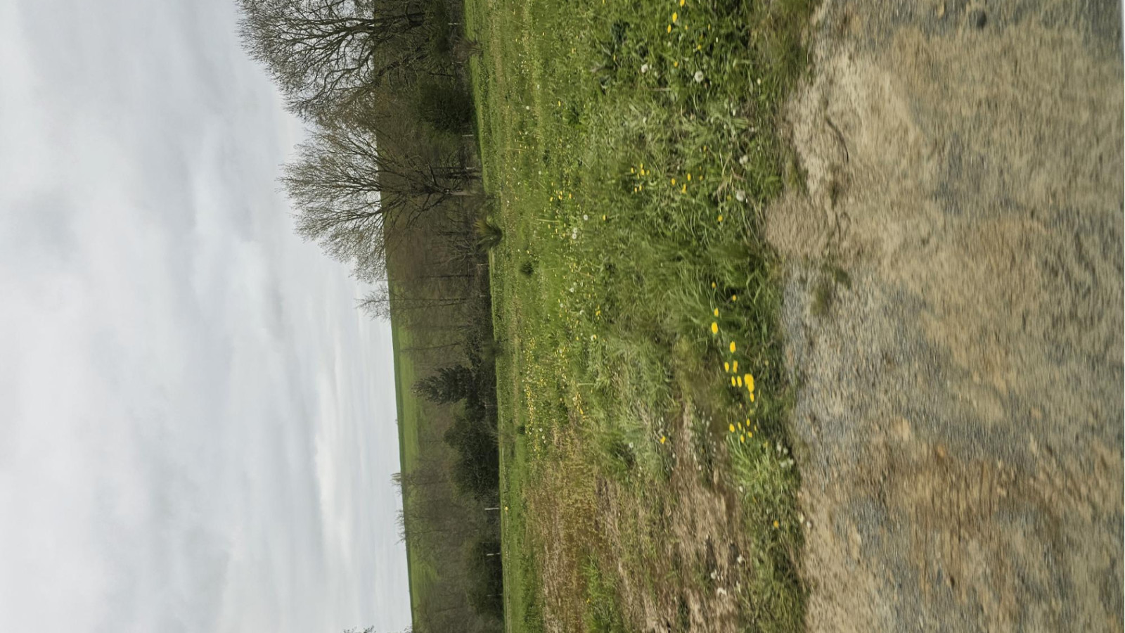 Terrain constructible de 535m2 à Cholet