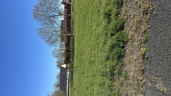 Lot 26 Daumeray.jpg
