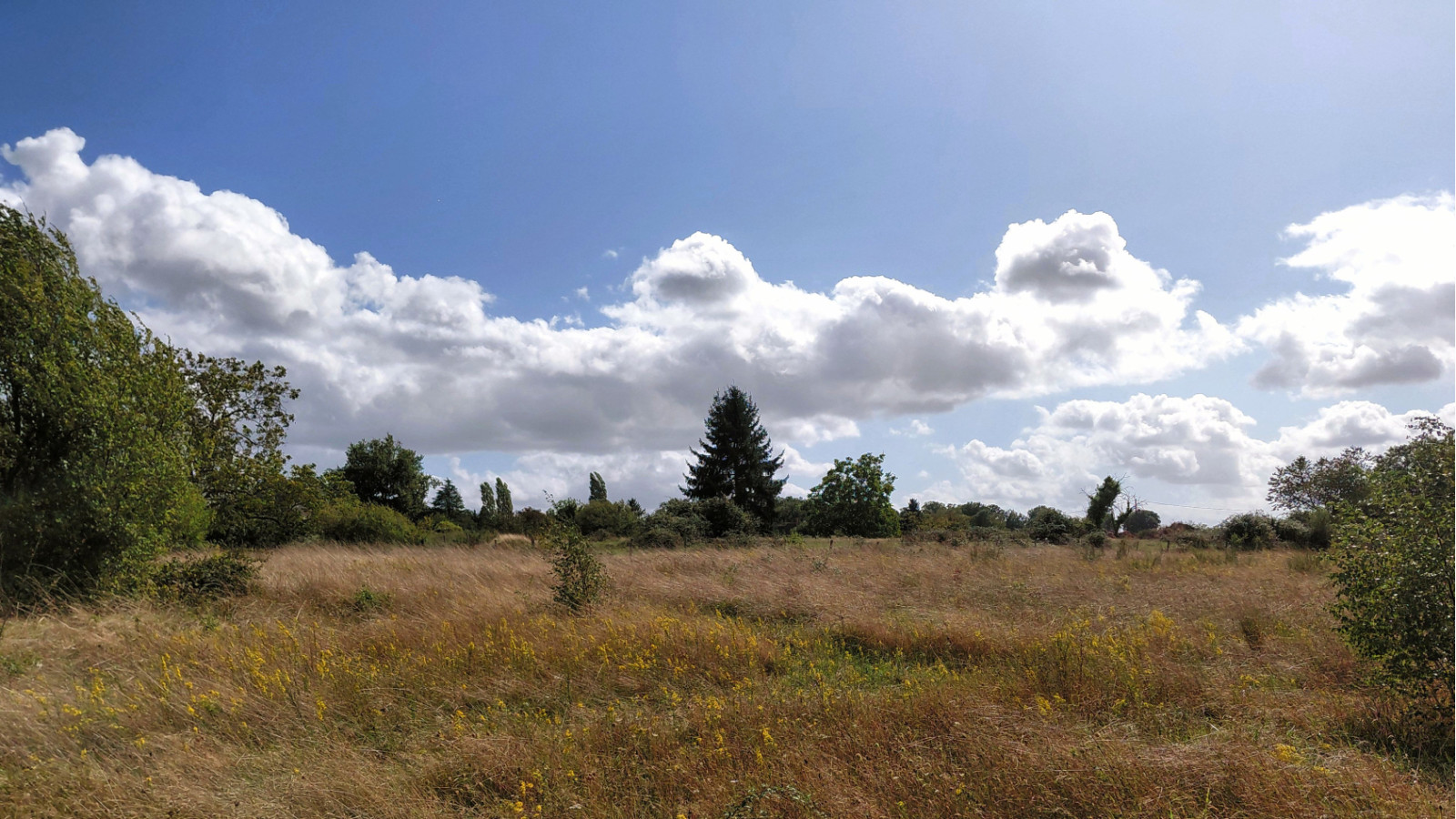 Terrain constructible de 563m2 à Langeais