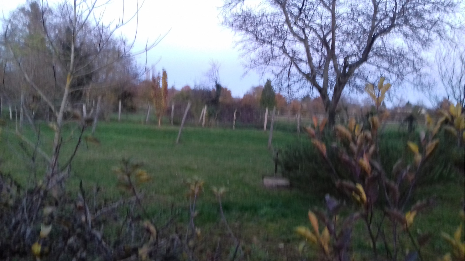Terrain constructible de 1576m2 à La Selle-sur-le-Bied