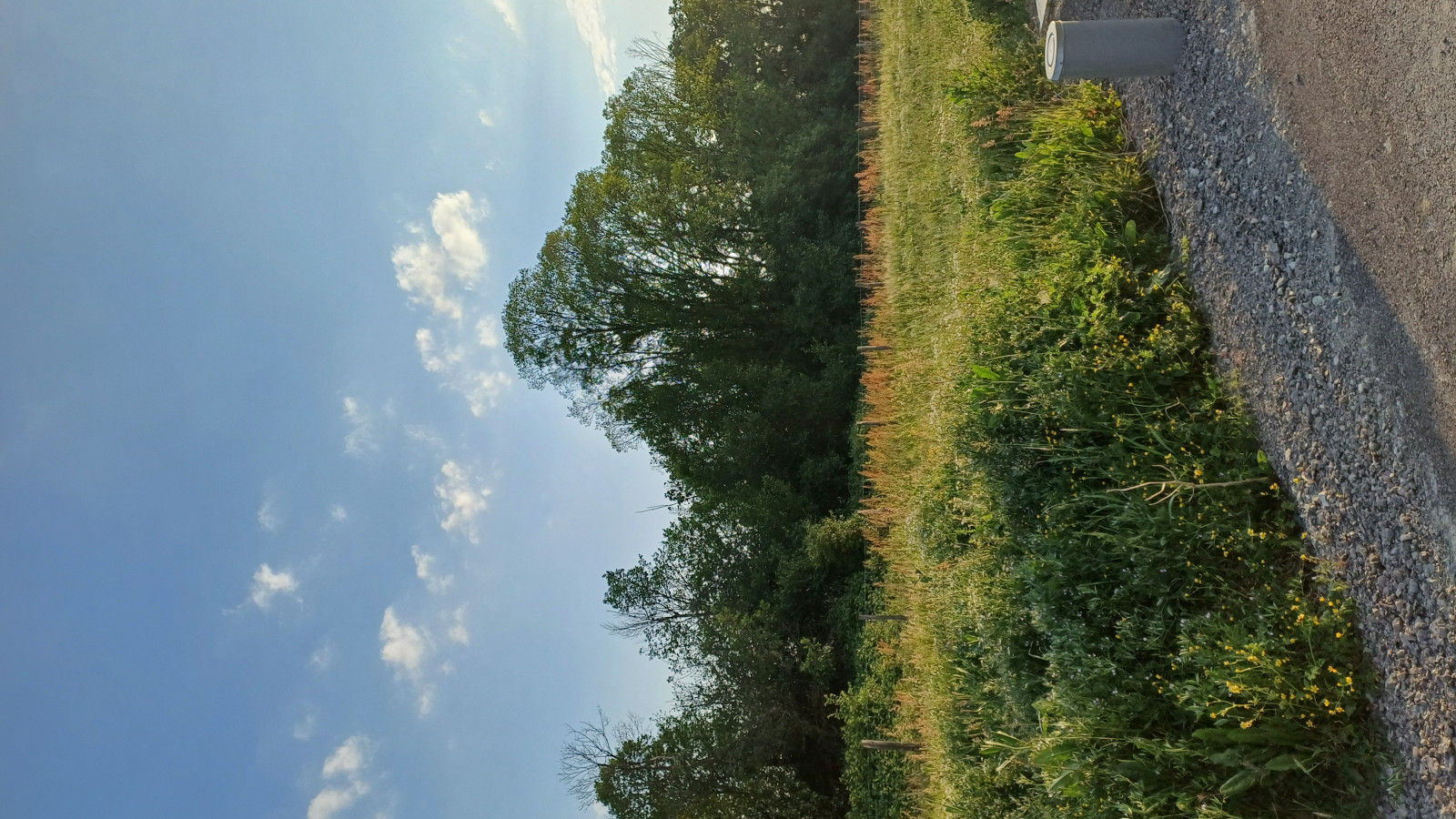 Terrain constructible de 665m2 à Le Lion-d'Angers