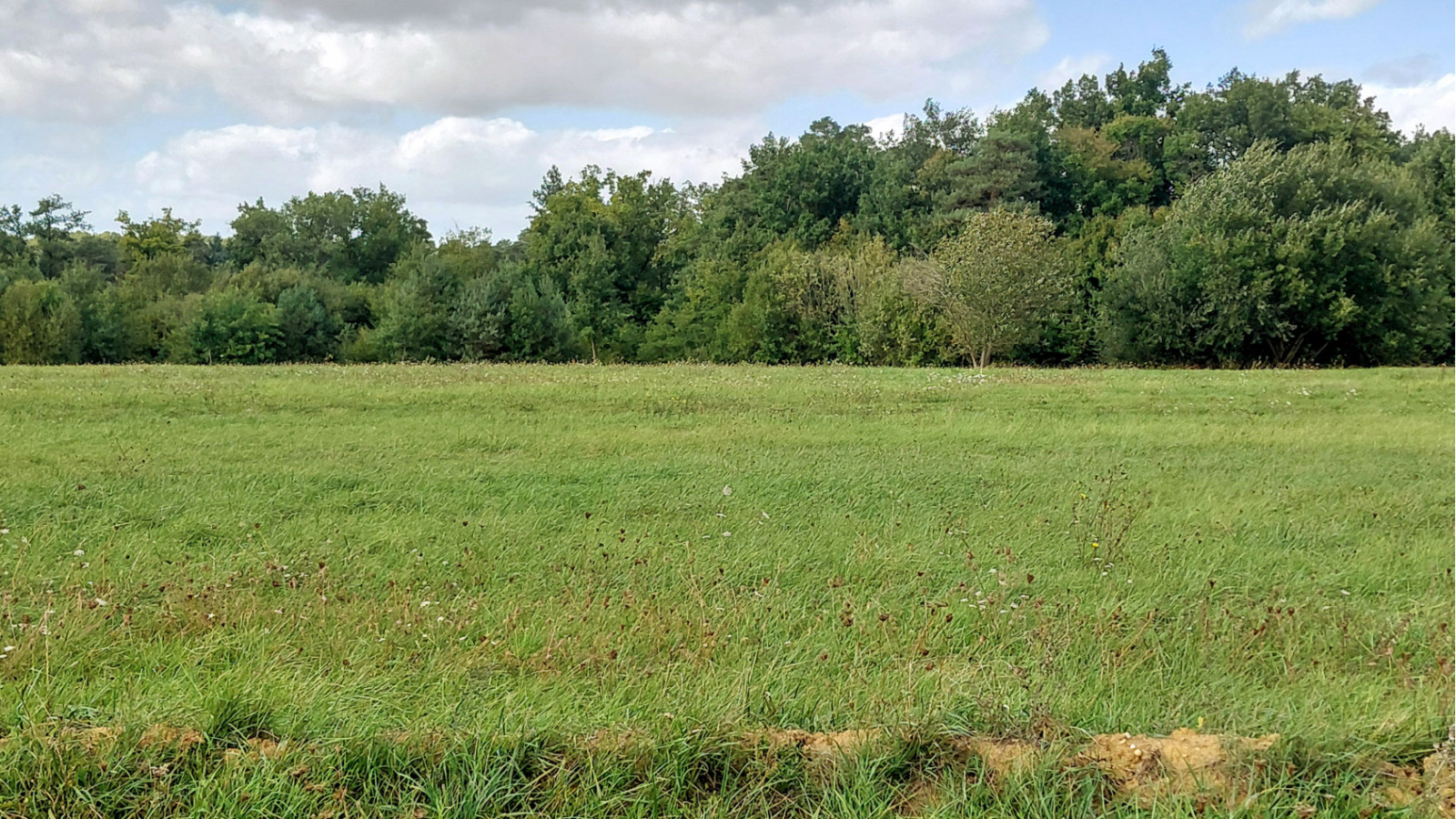 Terrain constructible de 407m2 à Lignières-de-Touraine