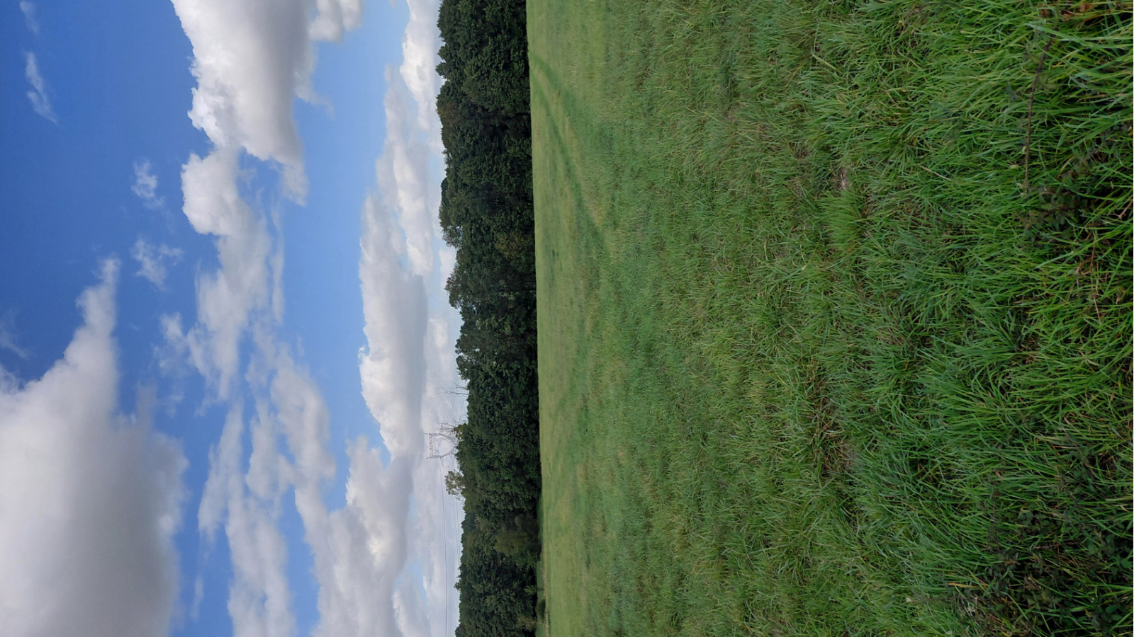 Terrain constructible de 336m2 à Notre-Dame-d'Oé