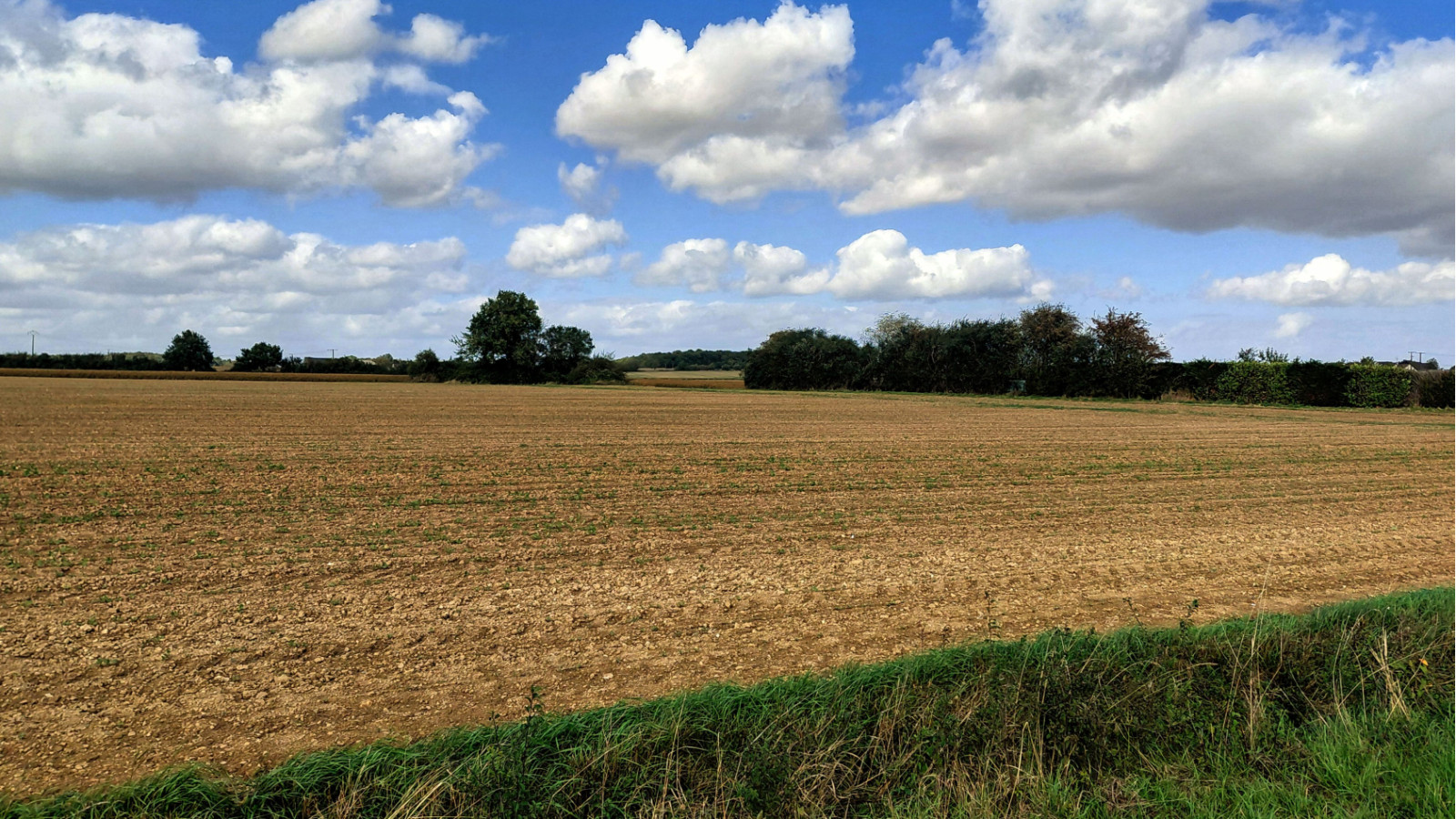 Terrain constructible de 814m2 à Nouzilly