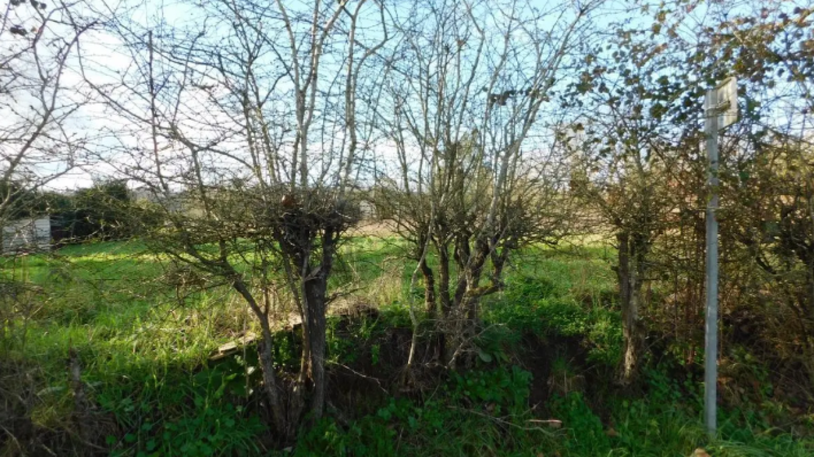 Terrain constructible de 805m2 à Les Hauts-d'Anjou