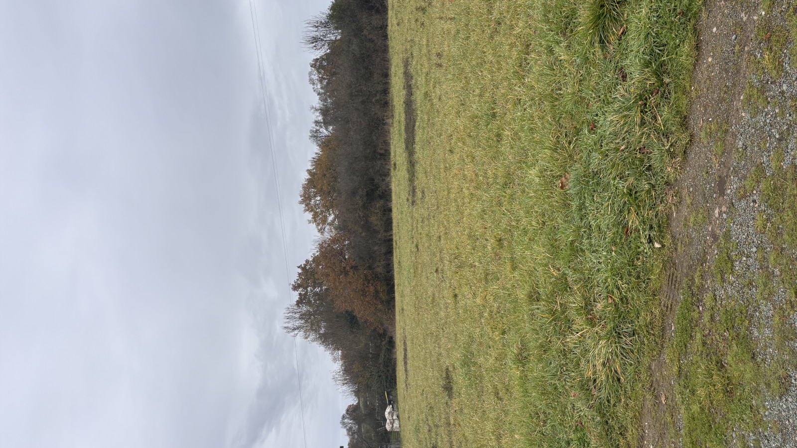 Terrain constructible de 592m2 à Beaulieu-sur-Layon