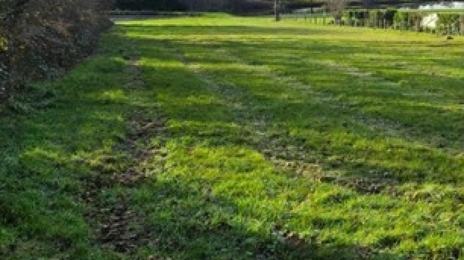 Terrain constructible de 929m2 à Fondettes