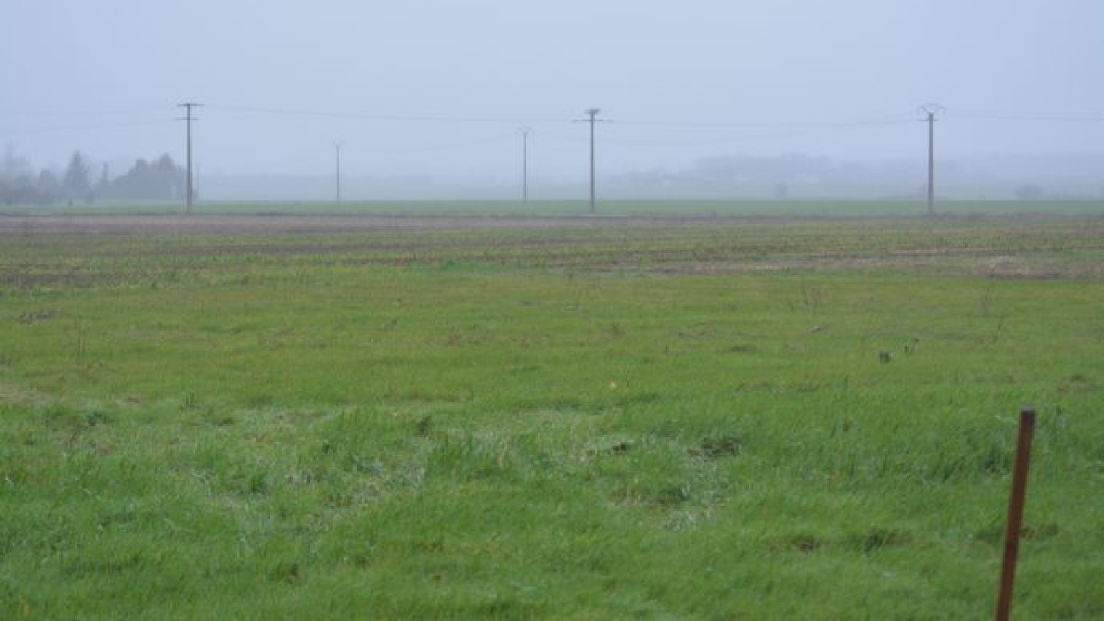 Terrain constructible de 700m2 à La Tour-Saint-Gelin