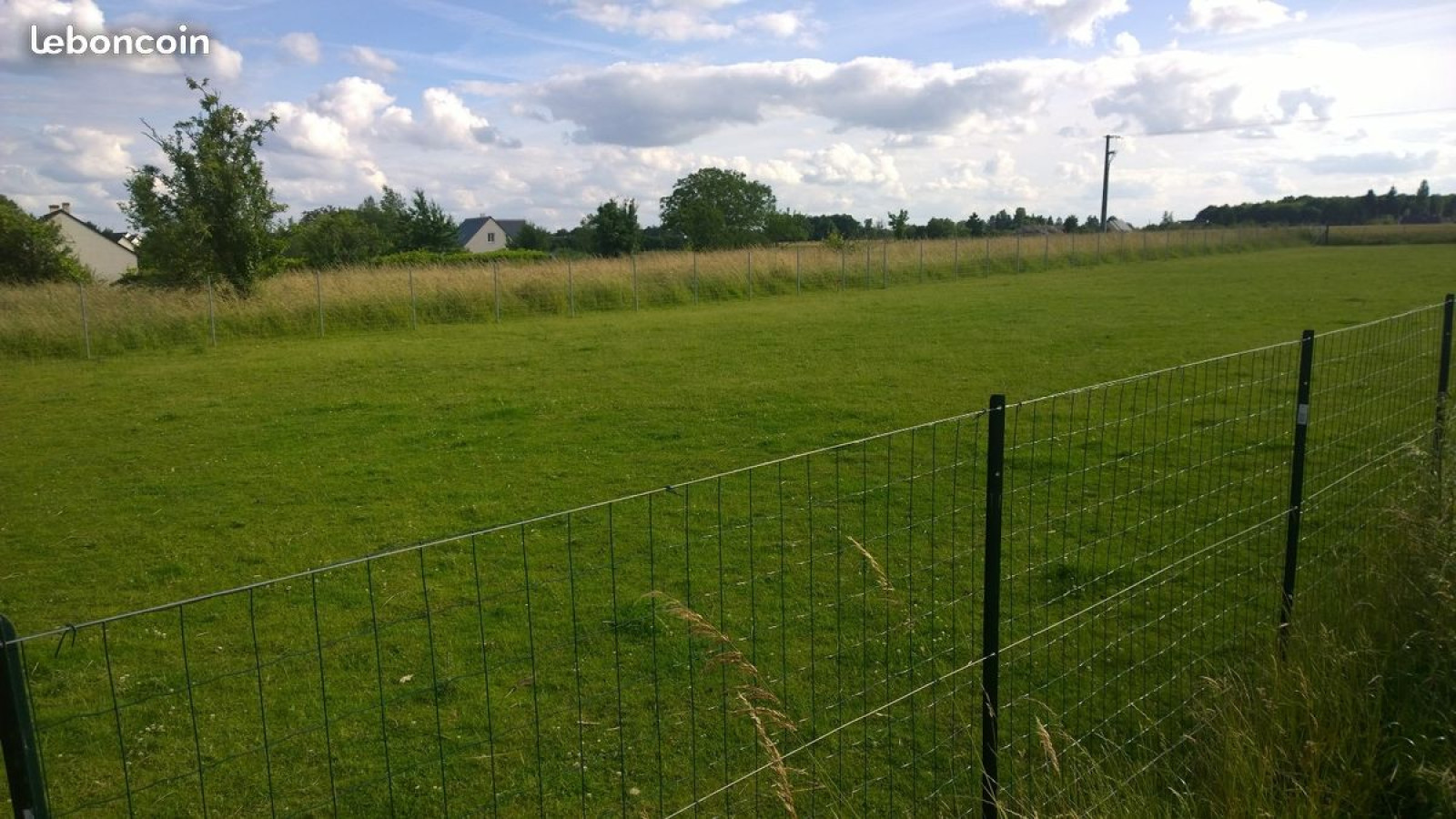 Terrain constructible de 1500m2 à Chouzé-sur-Loire