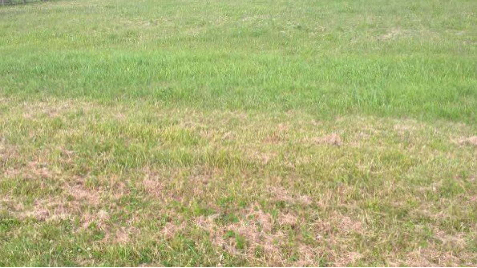 Terrain constructible de 850m2 à Marçay