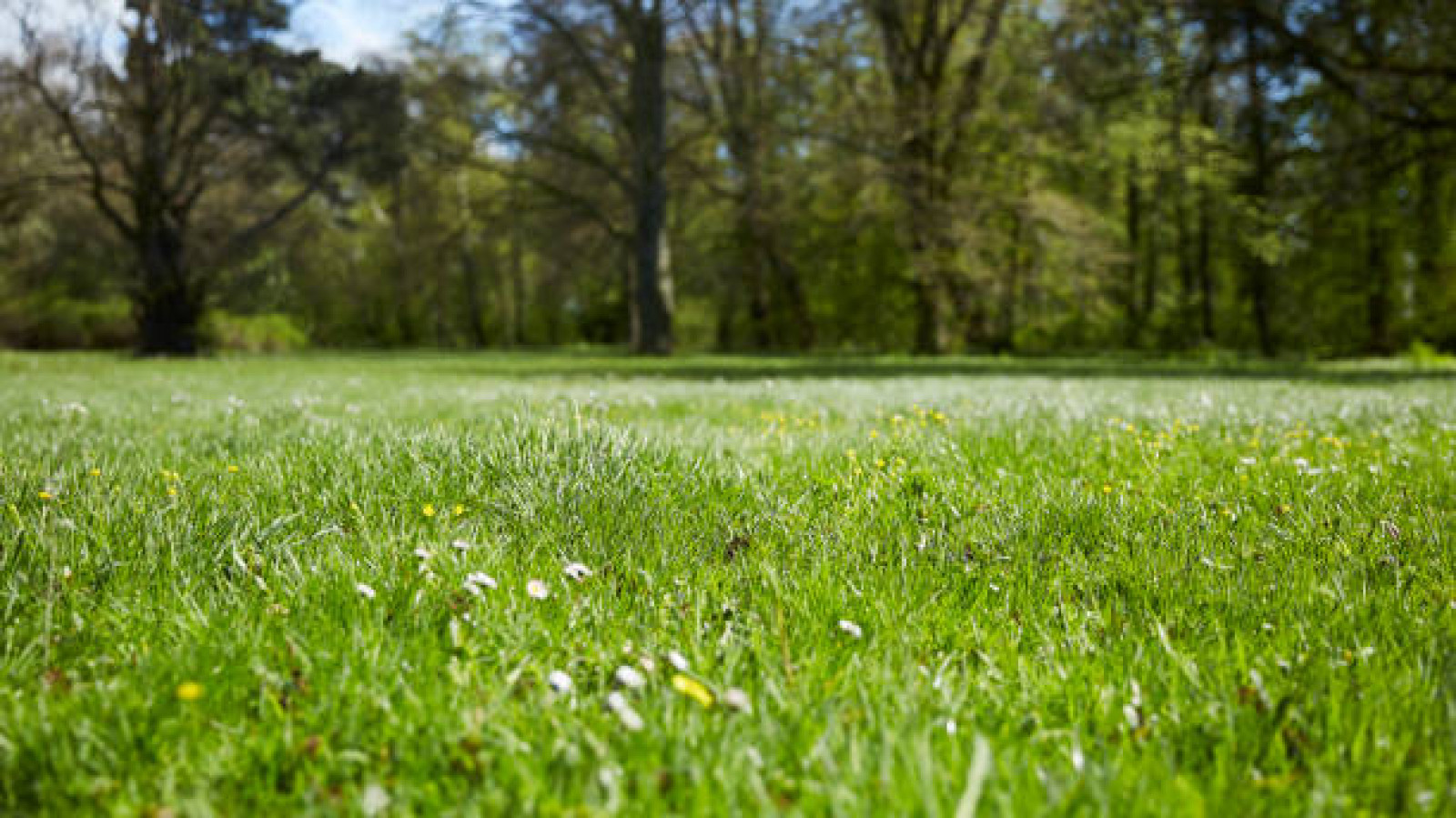Terrain constructible de 782m2 à Sorigny