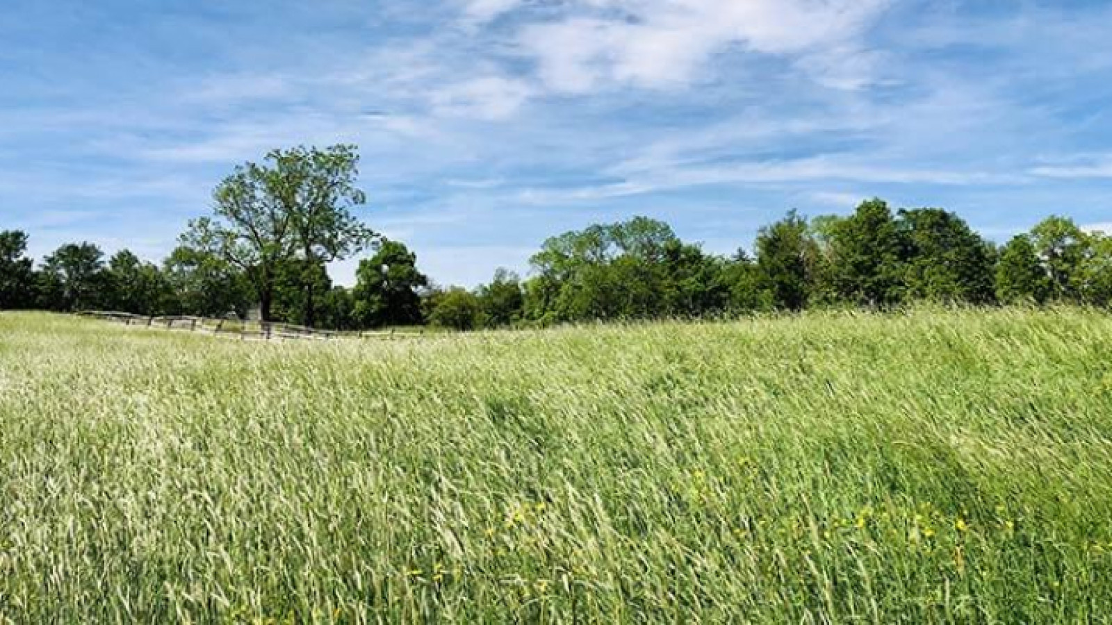 Terrain constructible de 564m2 à Savonnières