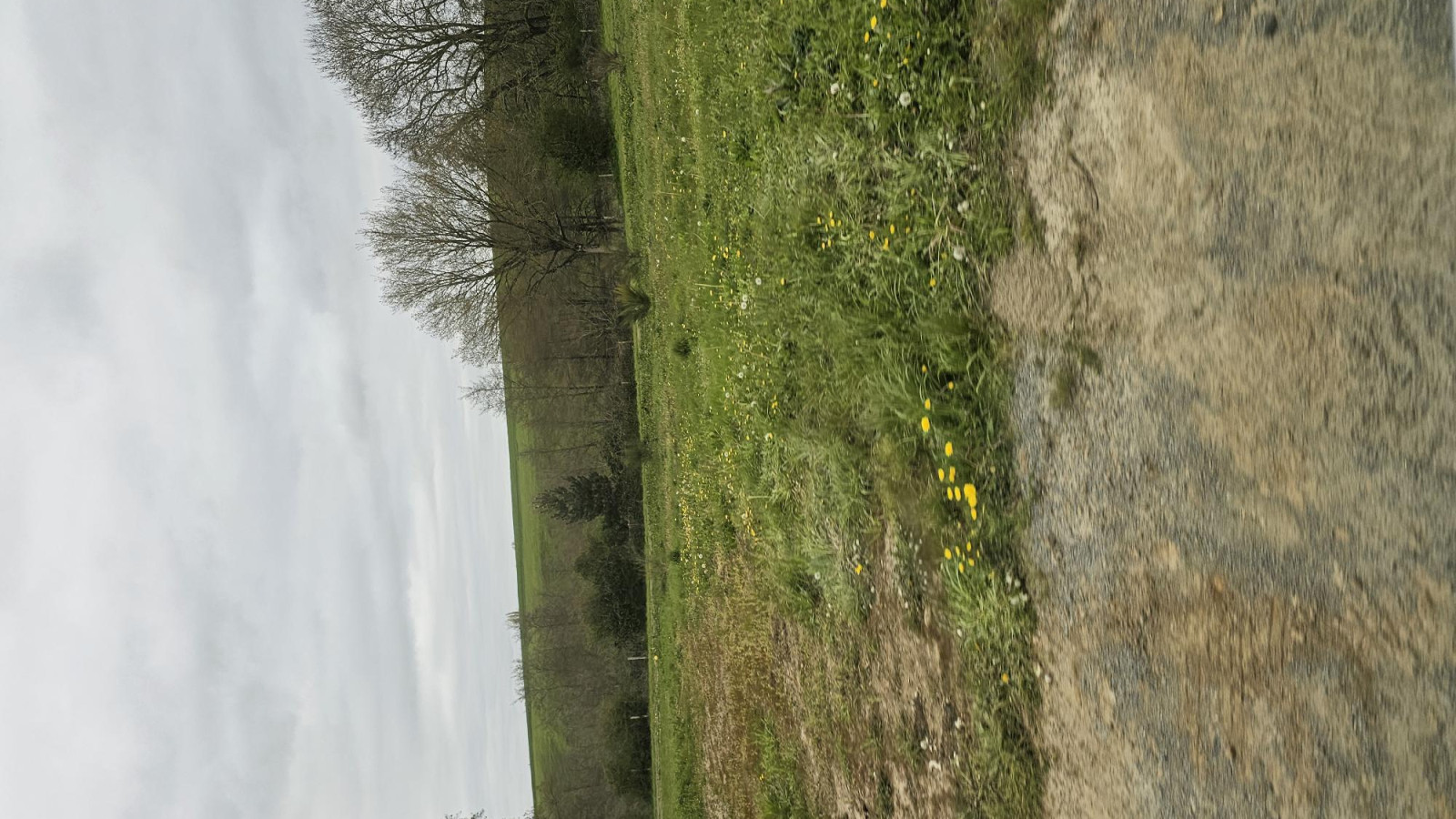 Terrain constructible de 300m2 à La Séguinière