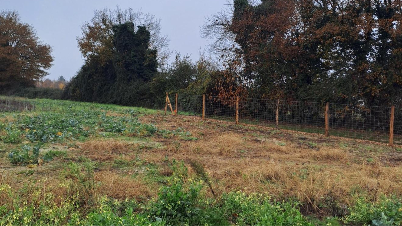 Terrain constructible de 360m2 à Segré-en-Anjou Bleu