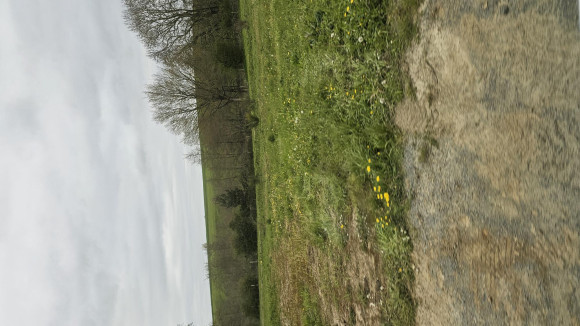 terrain 2.jpg