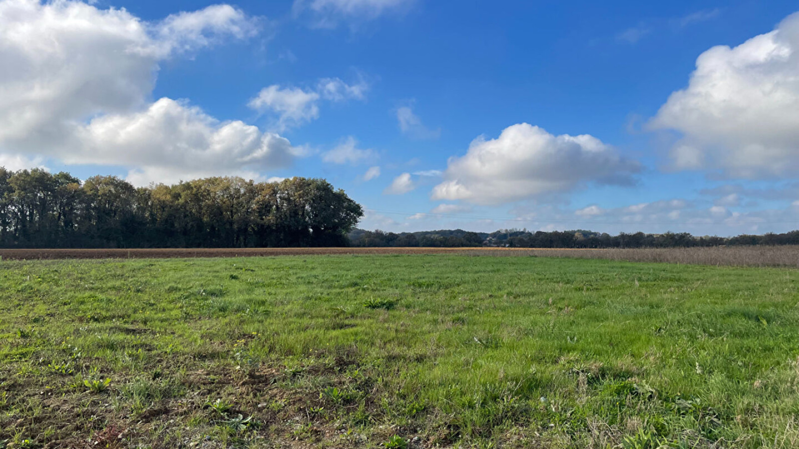 Terrain constructible de 455m2 à Nouaillé-Maupertuis