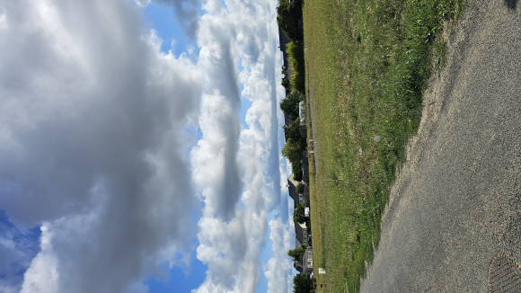 20250801_104254.jpg