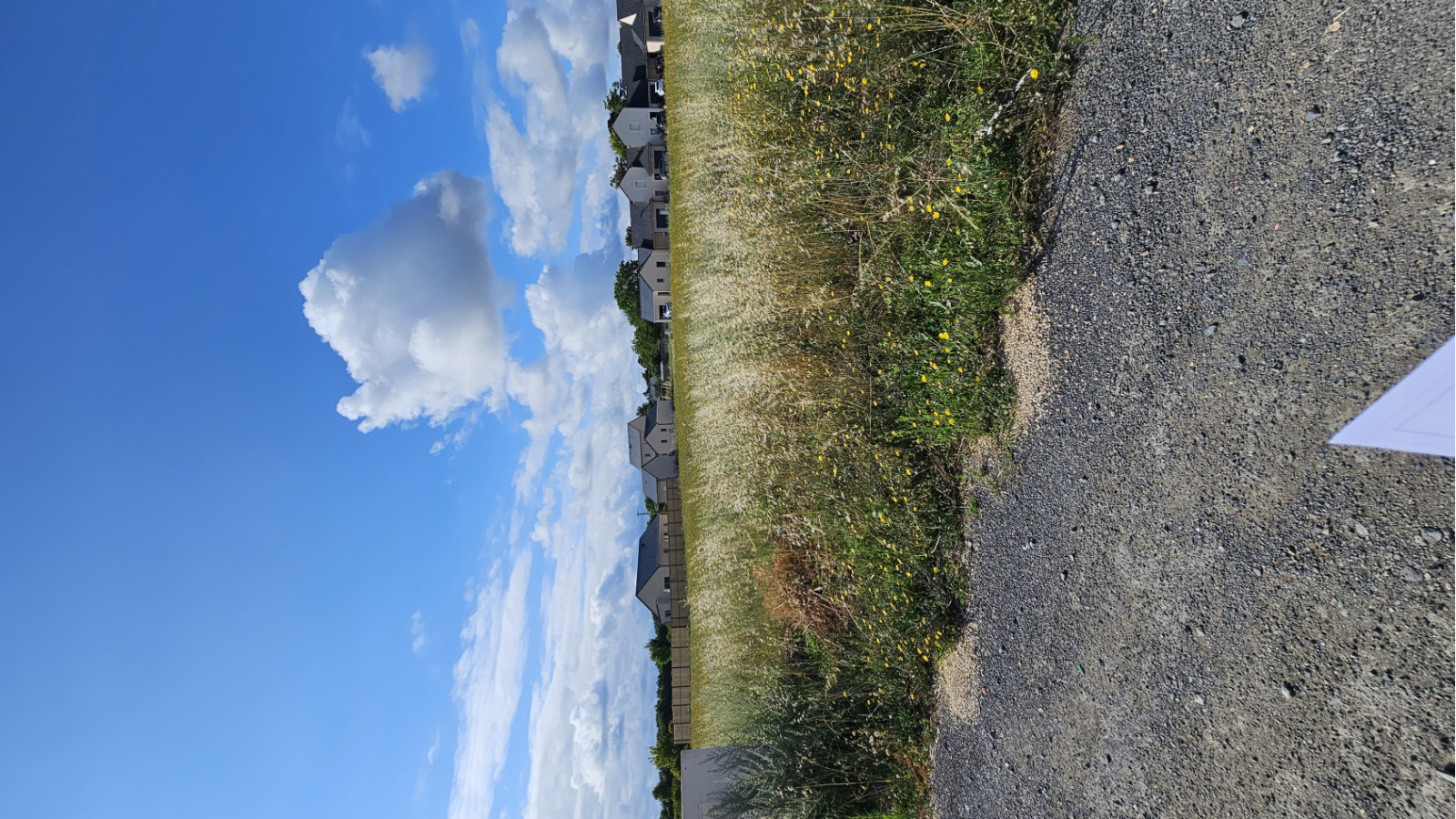 Terrain constructible de 490m2 à Bellevigne-les-Châteaux