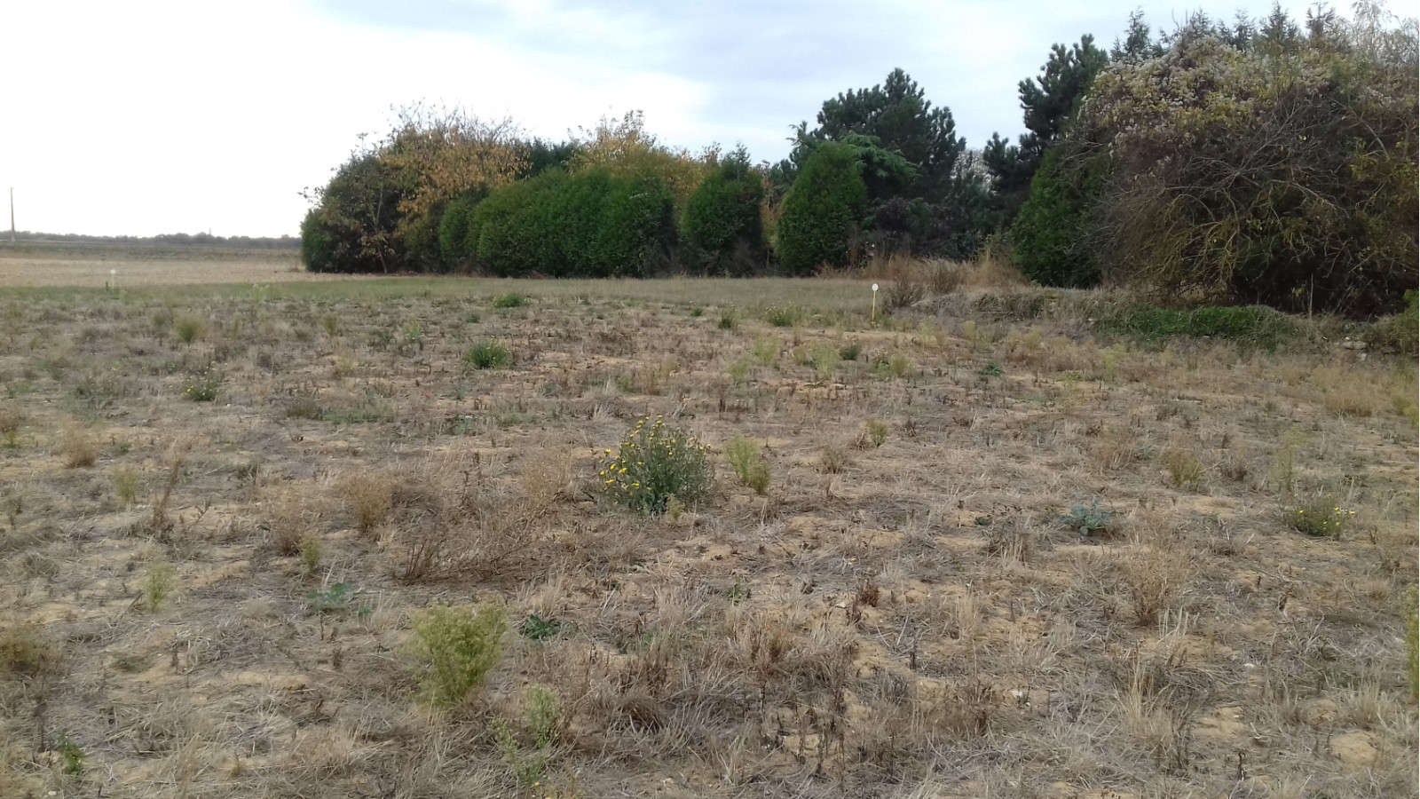 Terrain constructible de 668m2 à Faÿ-lès-Nemours