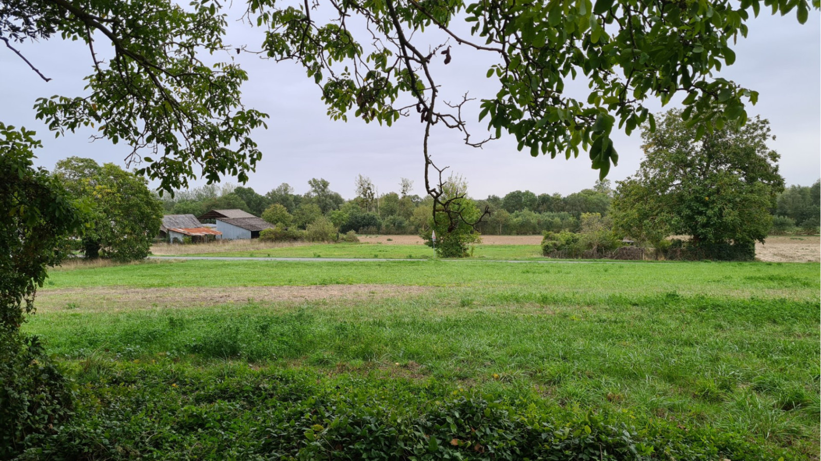 Terrain constructible de 1112m2 à Marçay