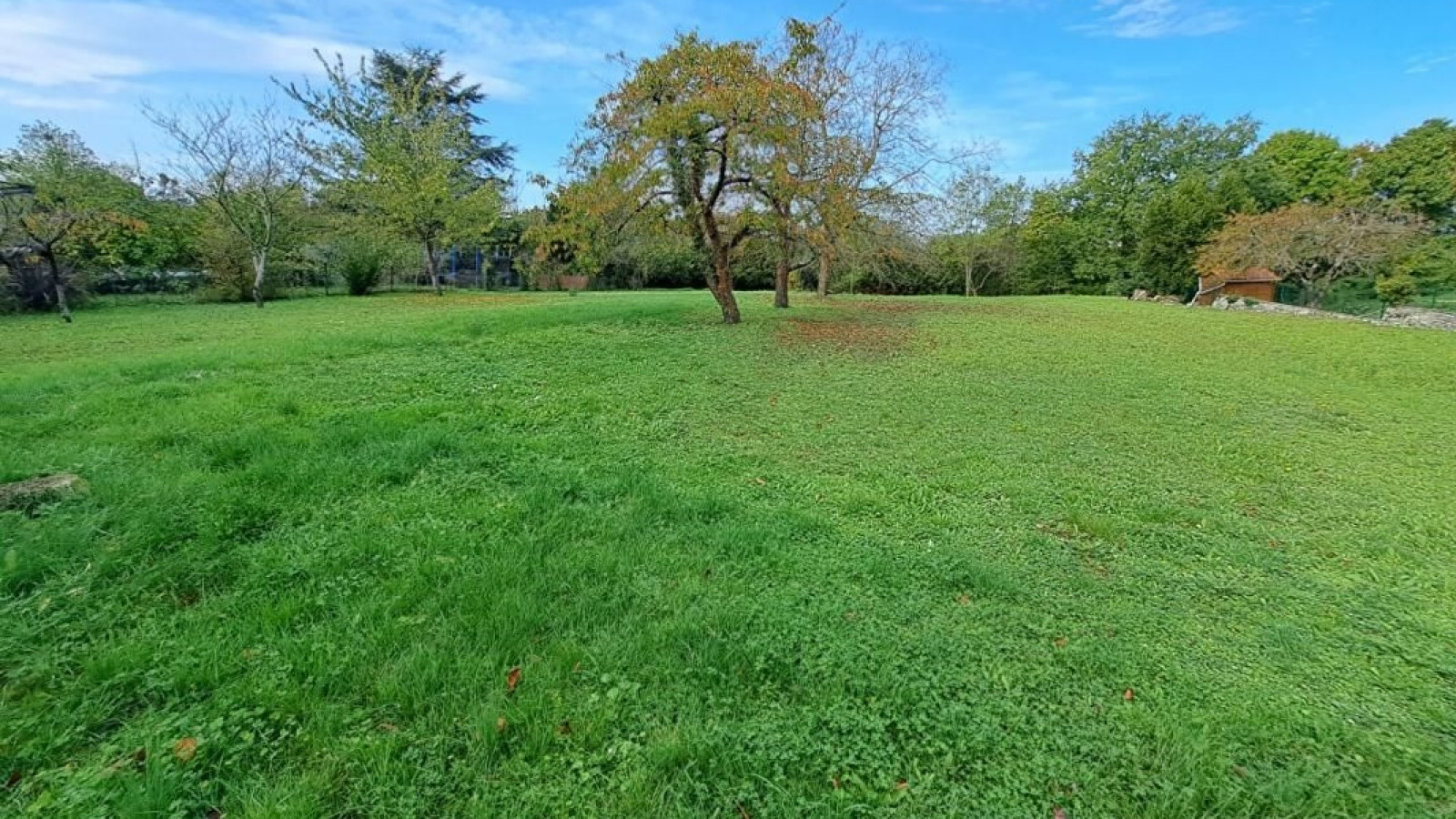 Terrain constructible de 5500m2 à Pleumartin