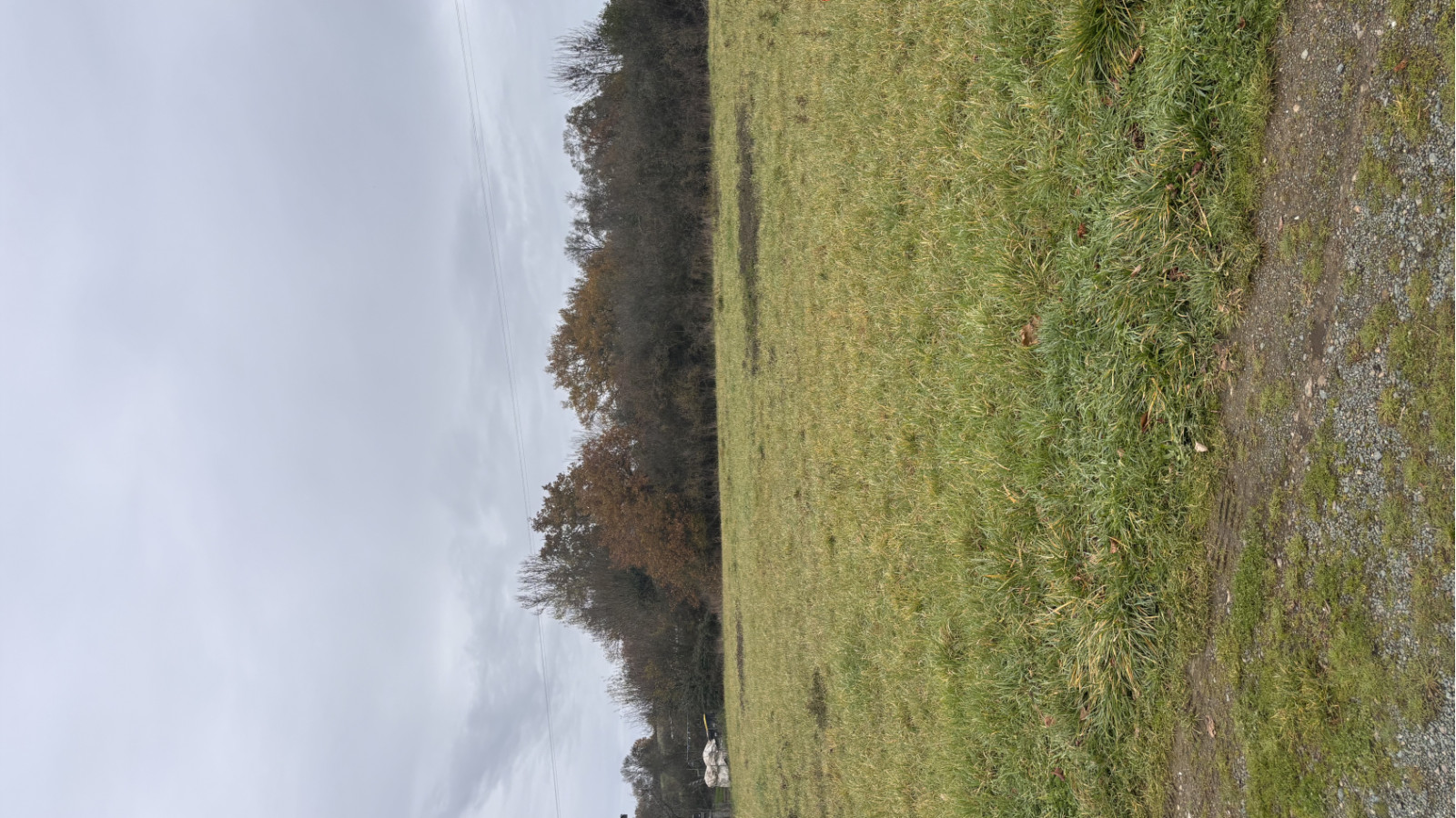 Terrain constructible de 463m2 à Beaulieu-sur-Layon