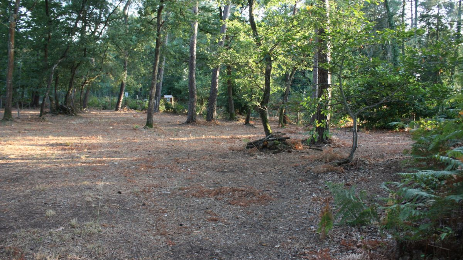 Terrain constructible de 1700m2 à Thizay