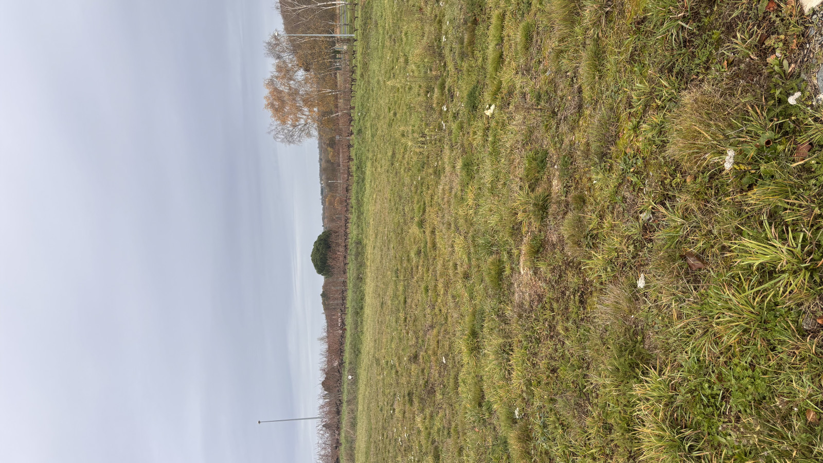 Terrain constructible de 518m2 à Brissac Loire Aubance