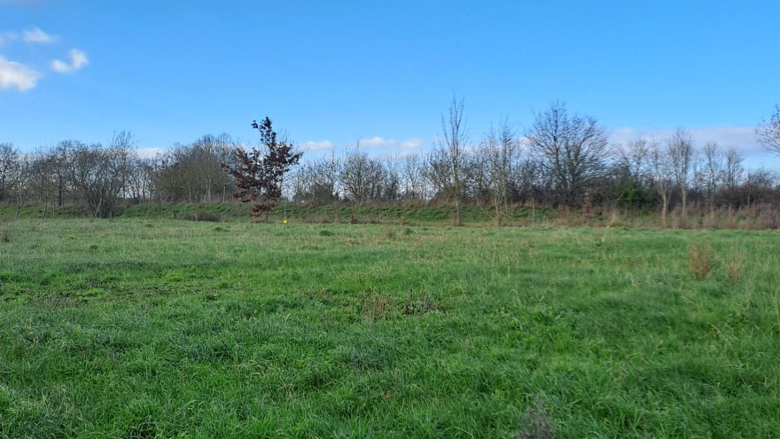 Terrain constructible de 477m2 à Sainte-Gemmes-sur-Loire