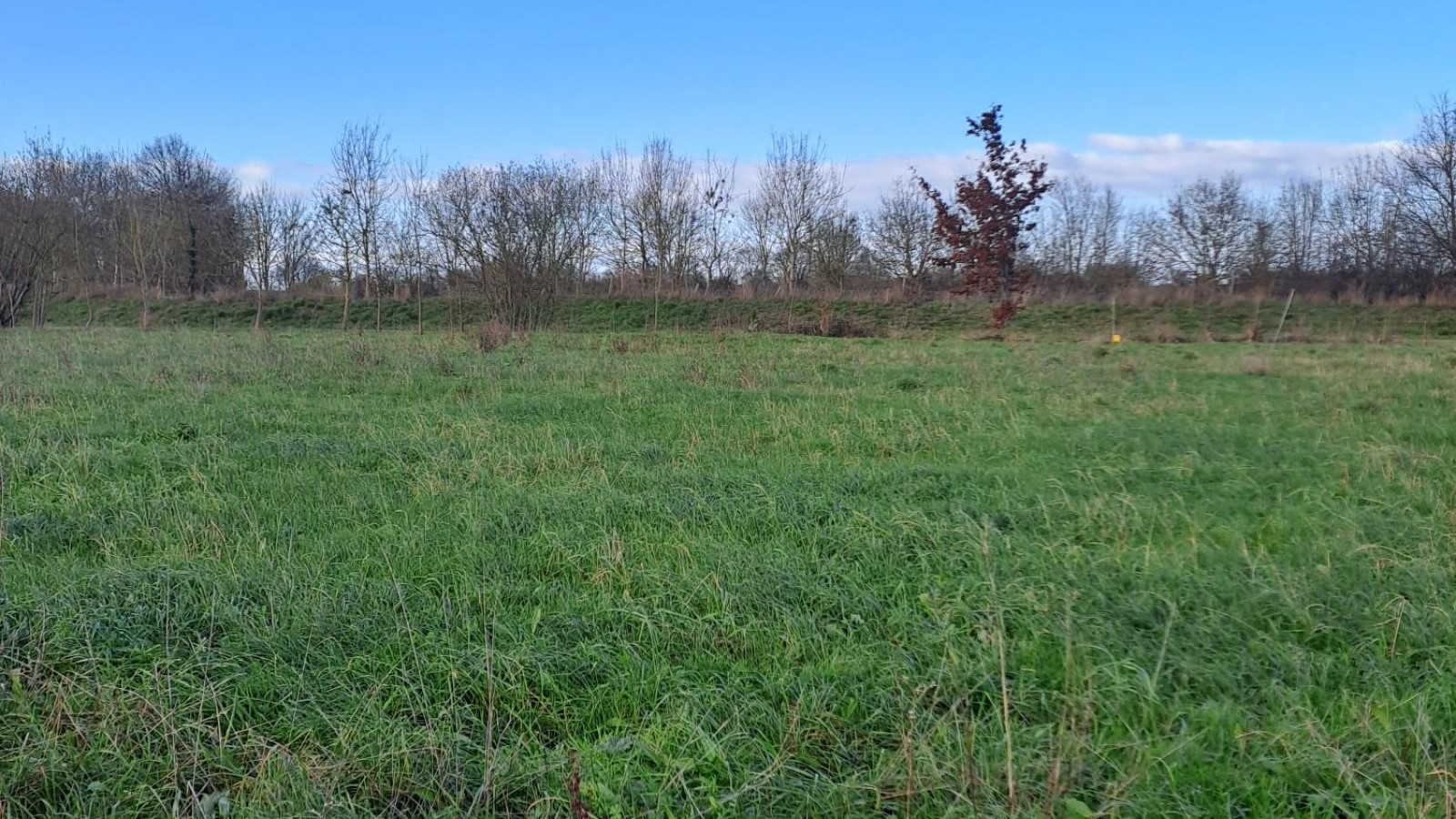 Terrain constructible de 343m2 à Erdre-en-Anjou