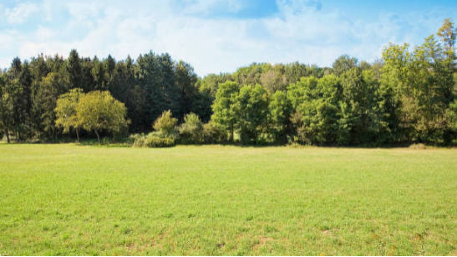 Terrain constructible de 309m2 à Gargenville