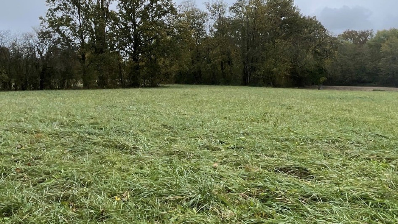 Terrain constructible de 420m2 à Autouillet