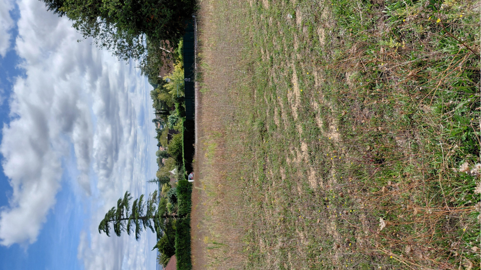 Terrain constructible de 563m2 à Les Essarts-le-Roi