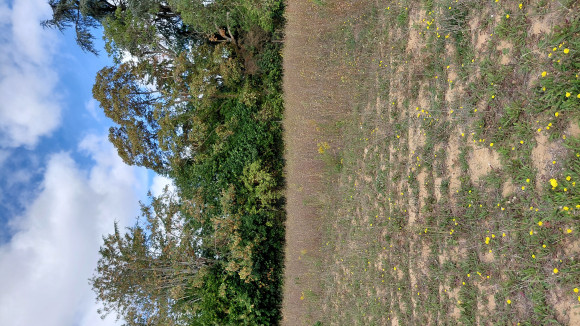 20260917_125430.jpg