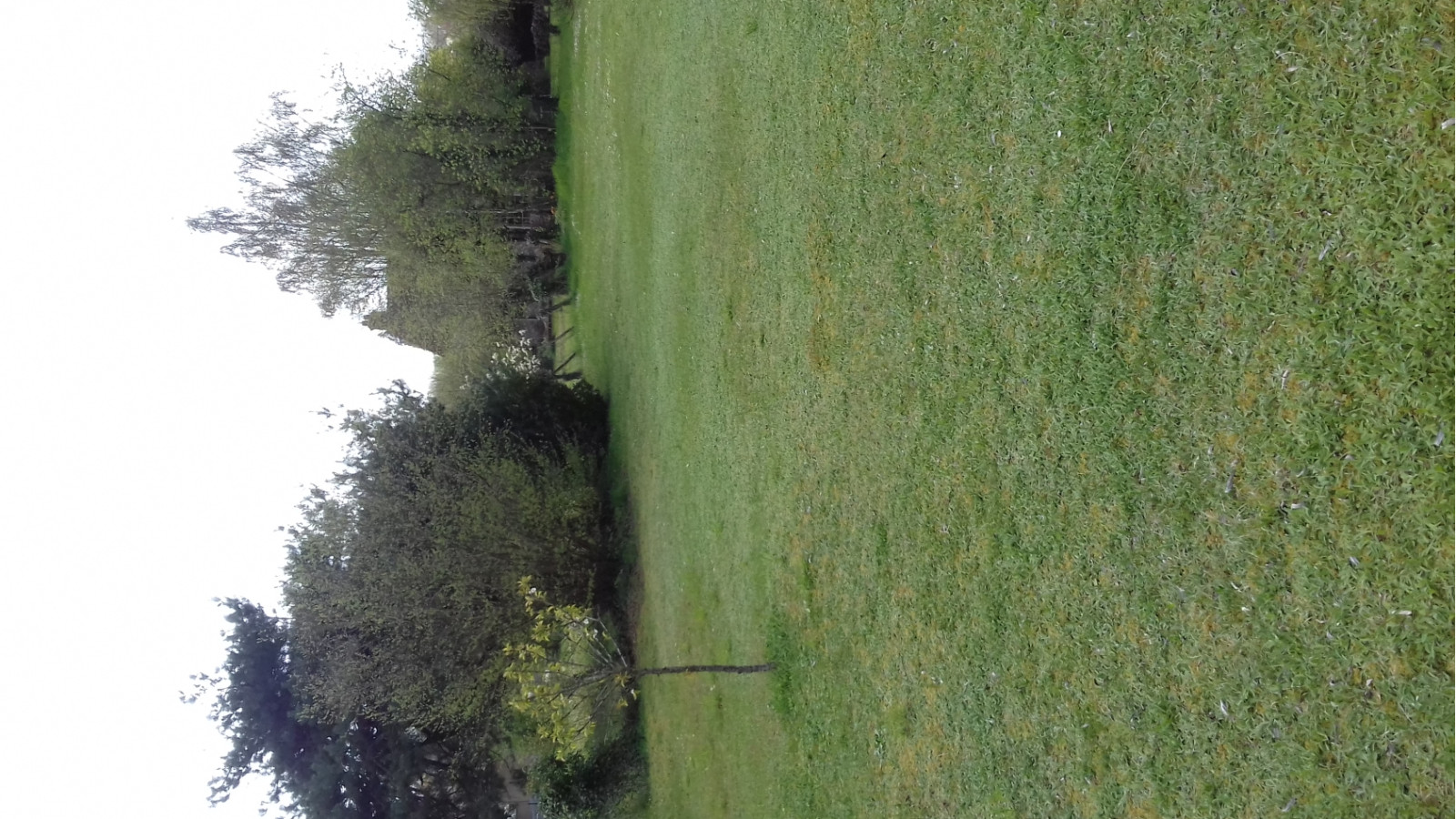 Terrain constructible de 653m2 à Dannemois